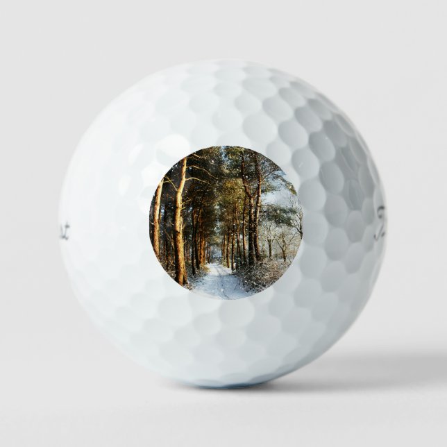 Forest Snow Scene tpv1 gbcna Golfball (Vorderseite)