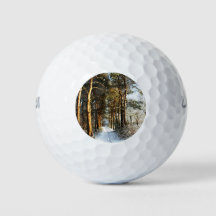 Forest Snow Scene wu gbcna