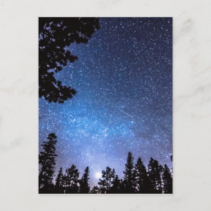 Forest Star Gazing eine Astronomie-Freude Postkarte