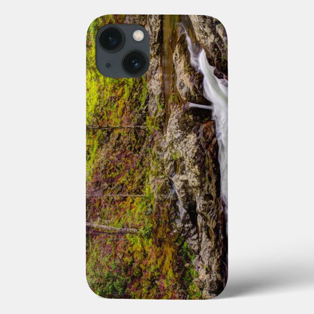 Forest Stream In Great Smoky Mountains Case-Mate iPhone Hülle (Rückseite)