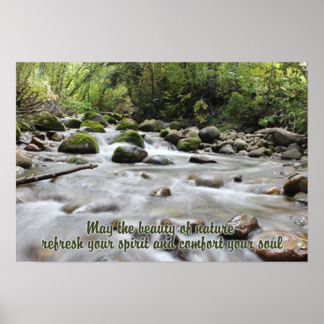 Forest Stream inspirierendes Poster (Vorne)