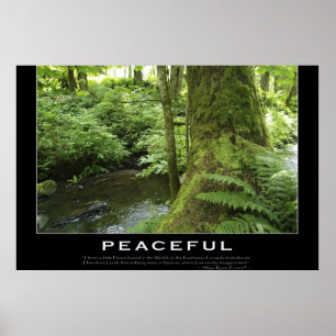 FOREST STREAM Nature Foto Plakat drucken