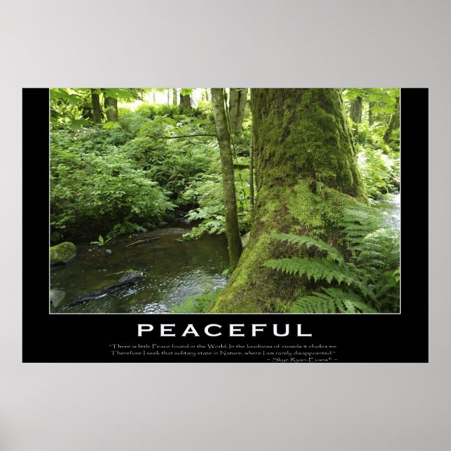 FOREST STREAM Nature Foto Plakat drucken (Vorne)
