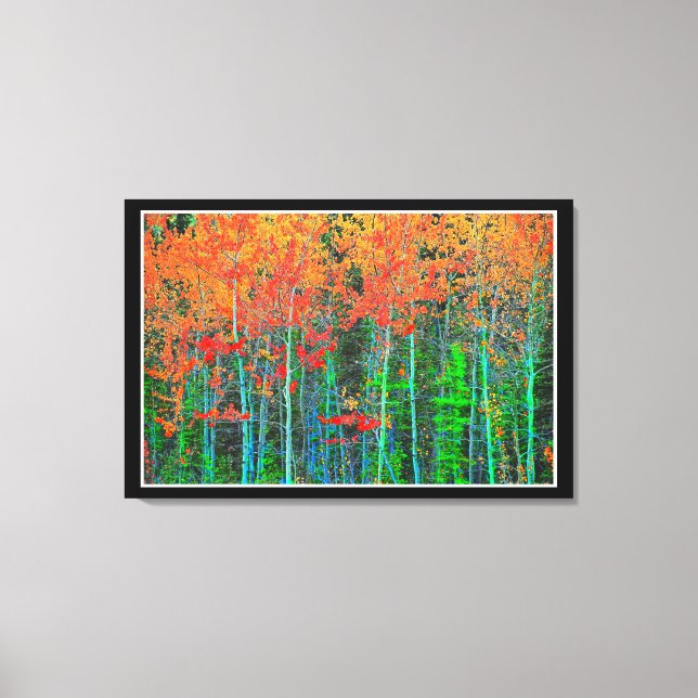 Forest Stretched Canvas Print Leinwanddruck (Vorderseite)