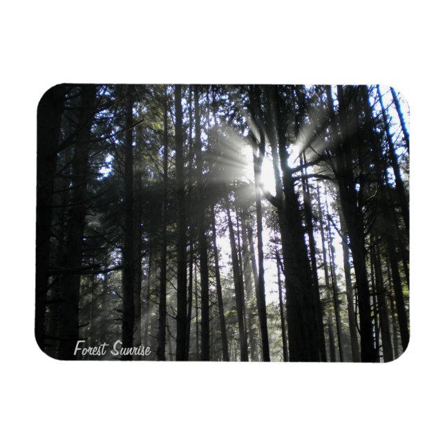 Forest Sunrise Magnet (Horizontal)
