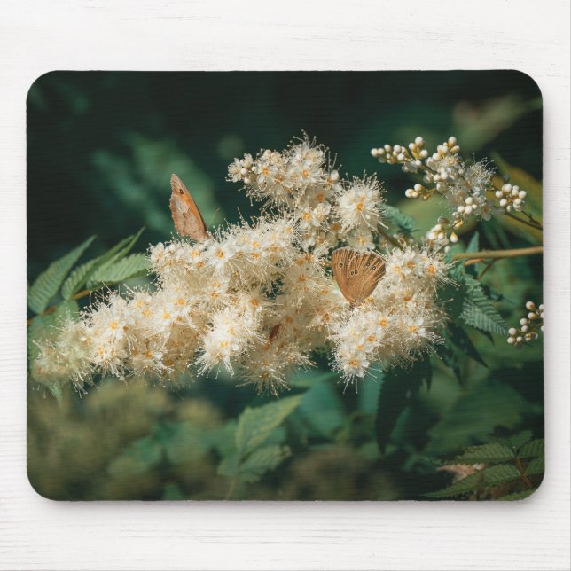 Forest theme with blooming flower and butterflies mousepad (Vorne)