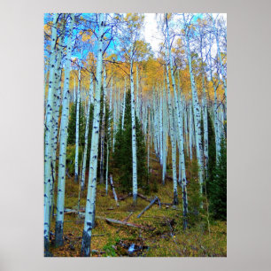 Forest Throught the Trees Poster