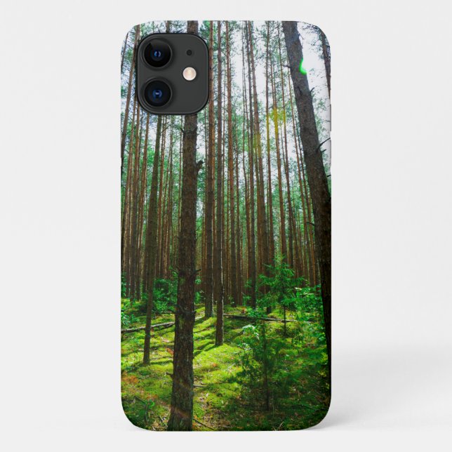 Forest Trees Sky Belarus Nature iPhone 11 Fall Case-Mate iPhone Hülle (Rückseite)