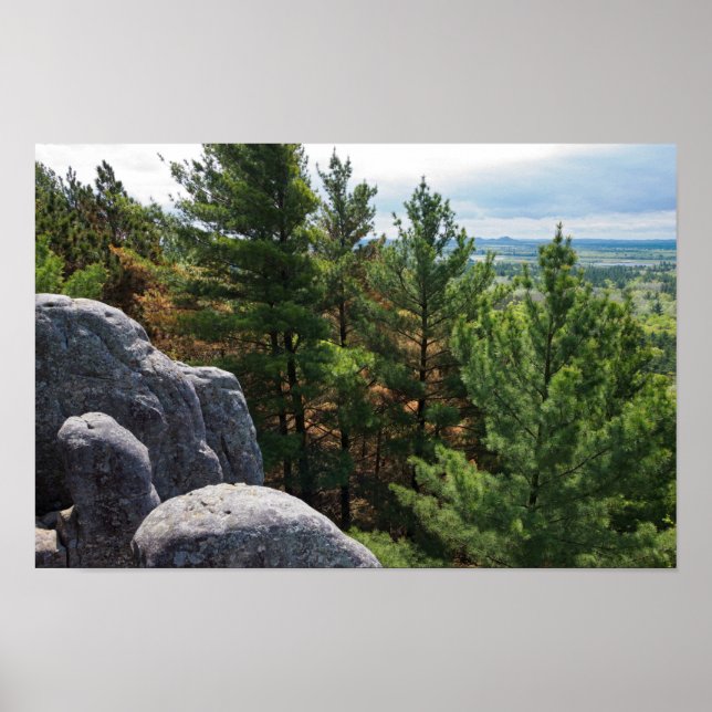 Forest Valley Blick auf Burg Berg Poster (Vorne)