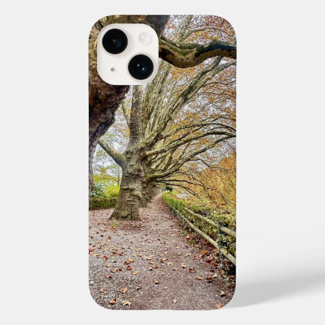 Forest Walkway iPhone Case (Rückseite)