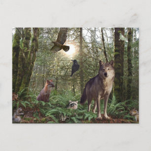 Forest Wild Animals Wildlife Nature Postkarte