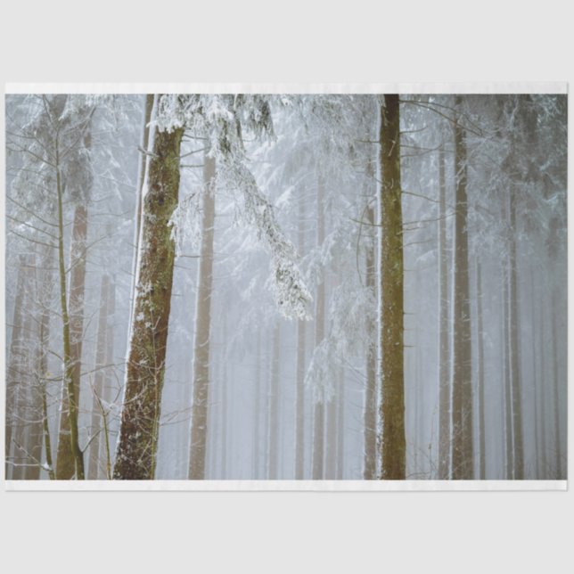Forest Winter 12 Dekoupage Tissue Seidenpapier (Vorderseite)