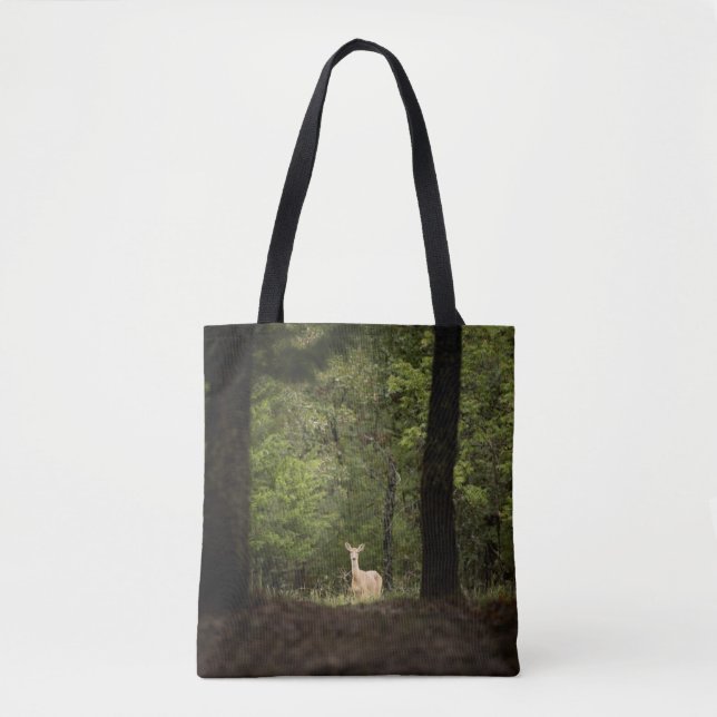 Forests A White Tailed Deer in the Woods (Vorderseite)