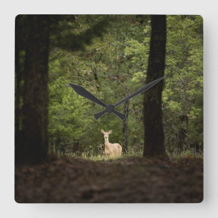 Forests   A White Tailed Deer in the Woods Quadratische Wanduhr