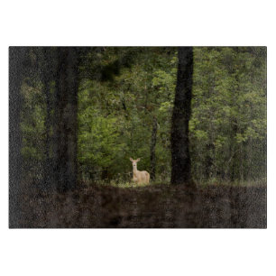 Forests A White Tailed Deer in the Woods Schneidebrett