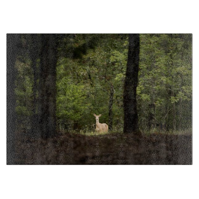 Forests A White Tailed Deer in the Woods Schneidebrett (Vorderseite)