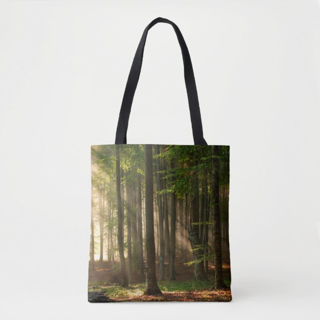Forests Autumn Forest (Vorderseite)