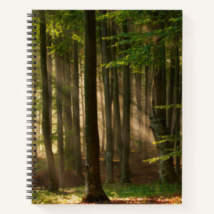 Forests Autumn Forest Notizbuch