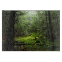 Forests | Auvergne France