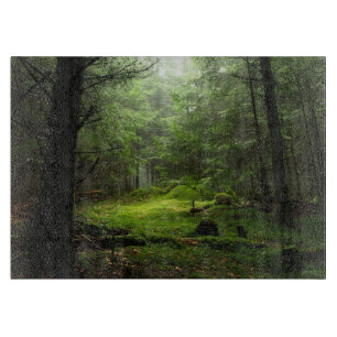 Forests Auvergne France Schneidebrett
