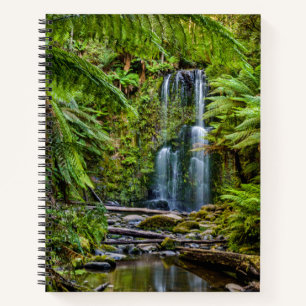 Forests Beauchamp Falls Australia Notizbuch