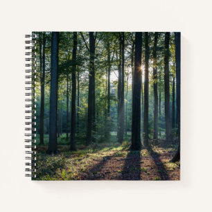 Forests Black Forest Germany Notizbuch