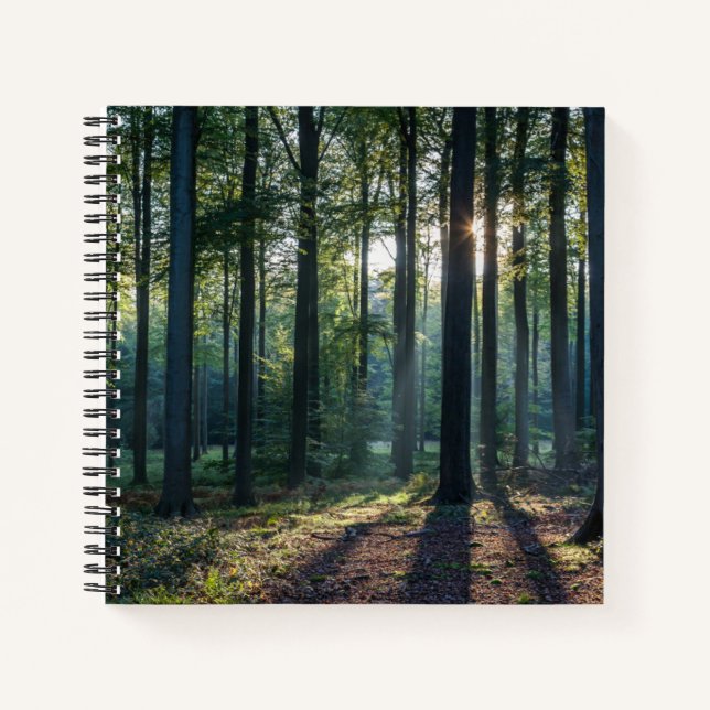 Forests | Black Forest Germany Notizbuch (Vorderseite)