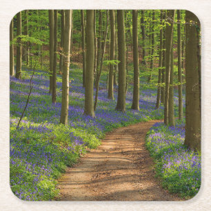 Forests Bluebell Forest in Belgien Rechteckiger Pappuntersetzer