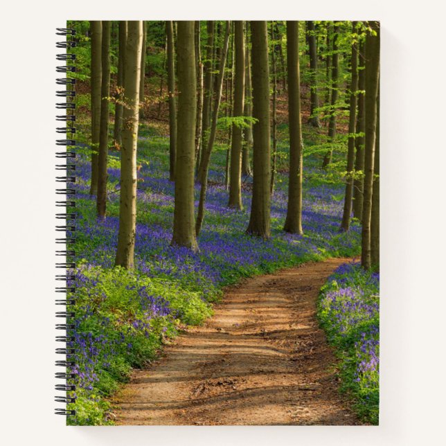 Forests | Bluebell Forest in Belgium Notizbuch (Vorderseite)