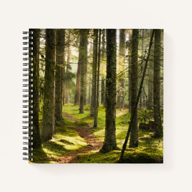 Forests | Boreal Forest Sweden Notizbuch (Vorderseite)