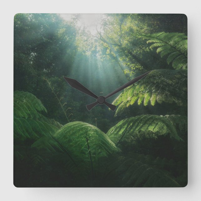 Forests | Ferns in Rainforest Quadratische Wanduhr (Vorderseite)