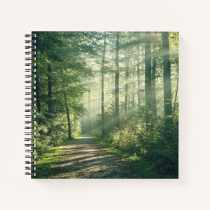 Forests Forest Path Hamburg Germany Notizbuch