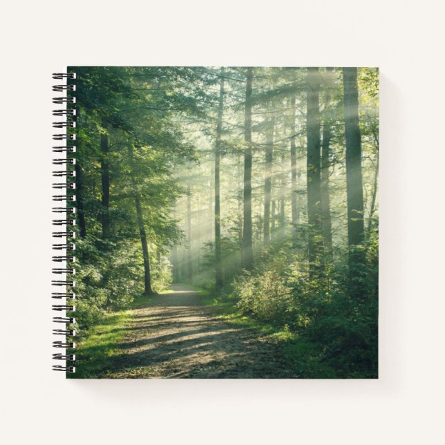 Forests | Forest Path Hamburg Germany Notizbuch (Vorderseite)