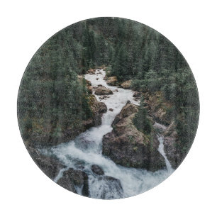 Forests Grison Graubunden Canton Schneidebrett