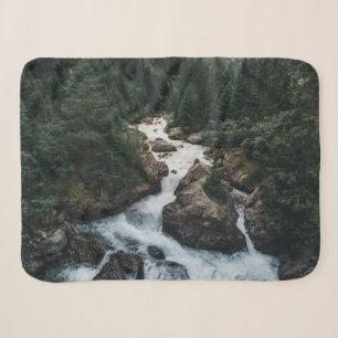 Forests Grison Graubunden Kanton Sherpadecke