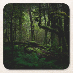 Forests Routeburn Track Fiordland National Park Rechteckiger Pappuntersetzer