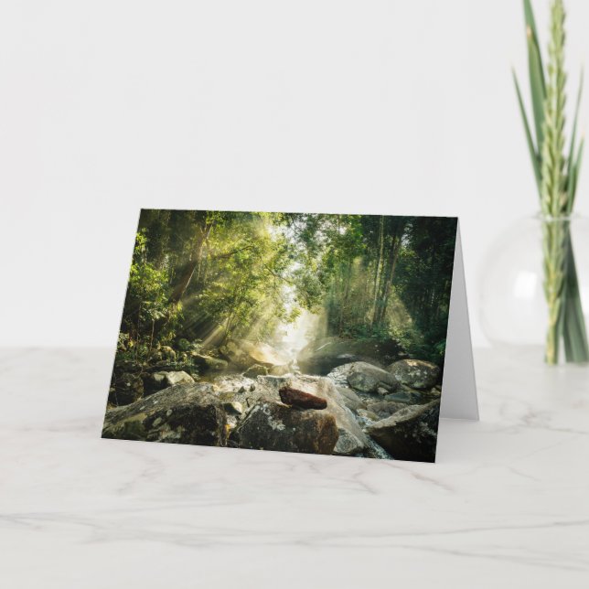 Forests | Tropical Jungle Forest Karte (Vorderseite)
