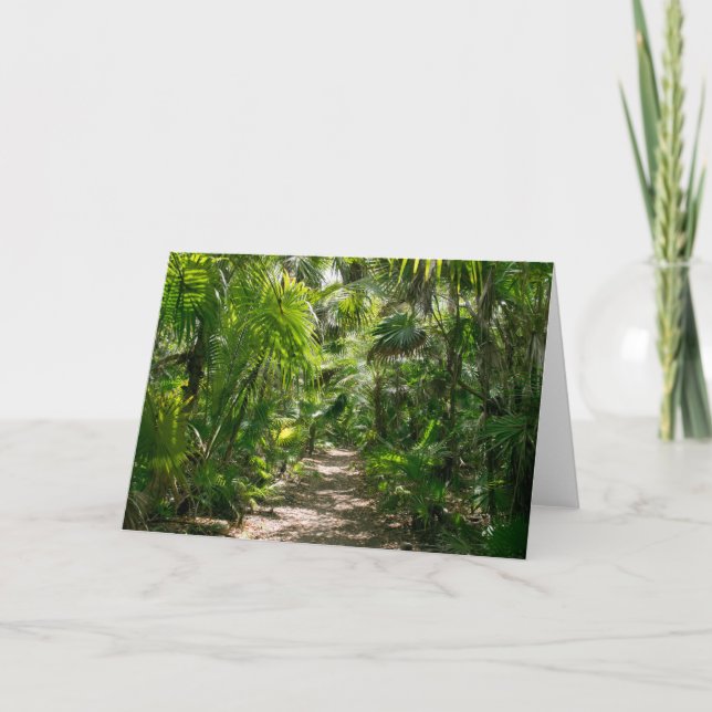 Forests Tropical Rainforest Tulum Mexico Karte (Vorderseite)