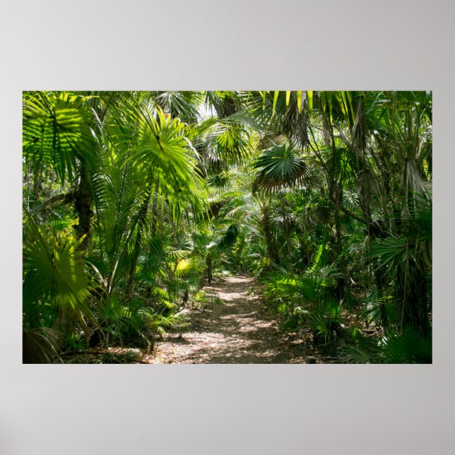 Forests Tropical Rainforest Tulum Mexico Poster (Vorne)