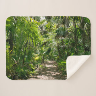 Forests Tropical Rainforest Tulum Mexico Sherpadecke