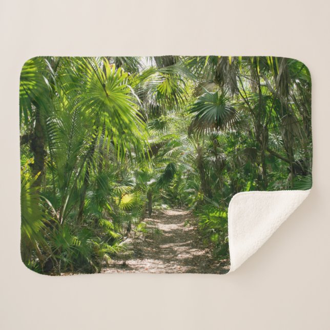 Forests Tropical Rainforest Tulum Mexico Sherpadecke (Vorderseite (Horizontal))