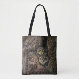 Forests Two Owls Looking