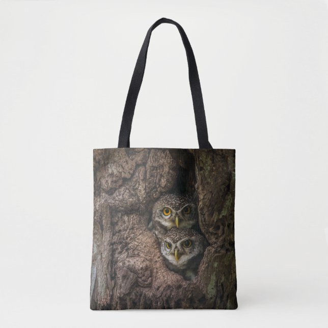 Forests Two Owls Looking (Vorderseite)