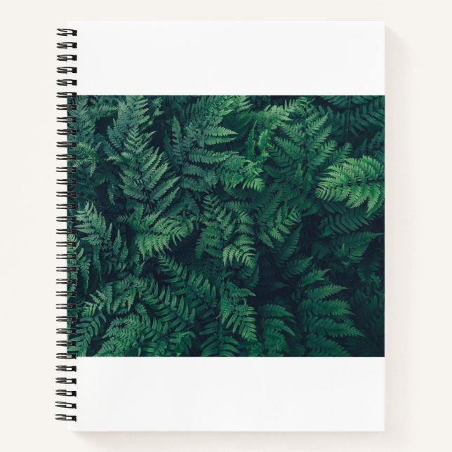 Forests Woodland Ferns Notizbuch (Vorderseite)