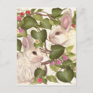 Forever Bunnies Postkarte