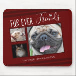Forever Friends Pet FotoCollage Mousepad<br><div class="desc">3 Foto für die Zusammenstellung der Maus-Pad Vorlage ist einfach zu bedienen. Alle Texte können leicht geändert werden. Ideal für den Liebhaber des Tieres in Ihrem Leben.</div>