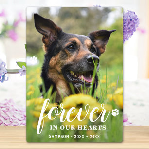 Forever in Hearts Personalisiertes Foto Pet Memori Fotoplatte