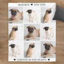Forever in unserem Hearts Dog Foto Collage Memoria