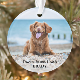 Forever in unseren Herzen - Hund 2 Foto Pet Memori Ornament
