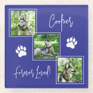Forever Loved Blue Dog Memorial Foto Collage Glasuntersetzer